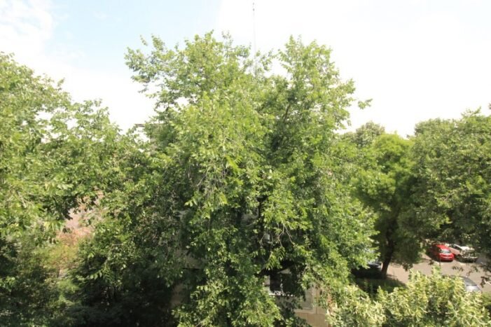 Cotroceni, Eroilor, inchiriere garsoniera cocheta.